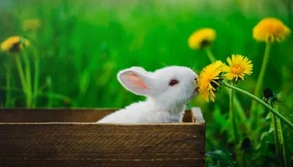 开云体育app下载-亚洲杯中国足球惨败 球迷呼吁提升青训质量，亚洲杯中国足球队赛程