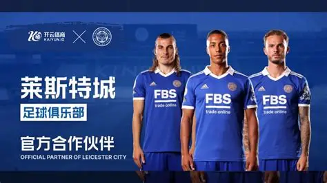 开云·体育(中国)官方网站_KAIYUN SPORT