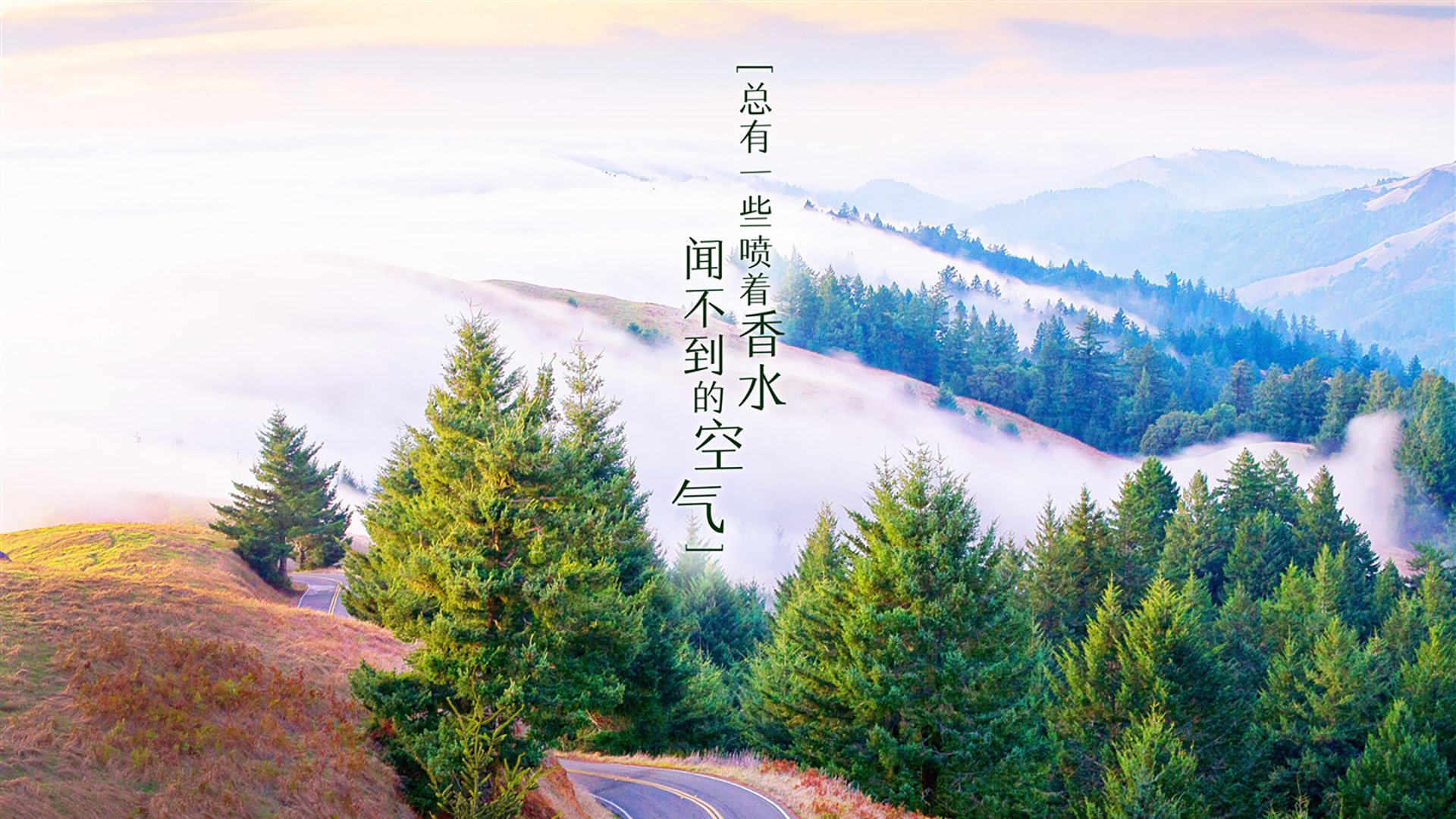 体育科研成果应用推广，体育科研成果应用推广方案