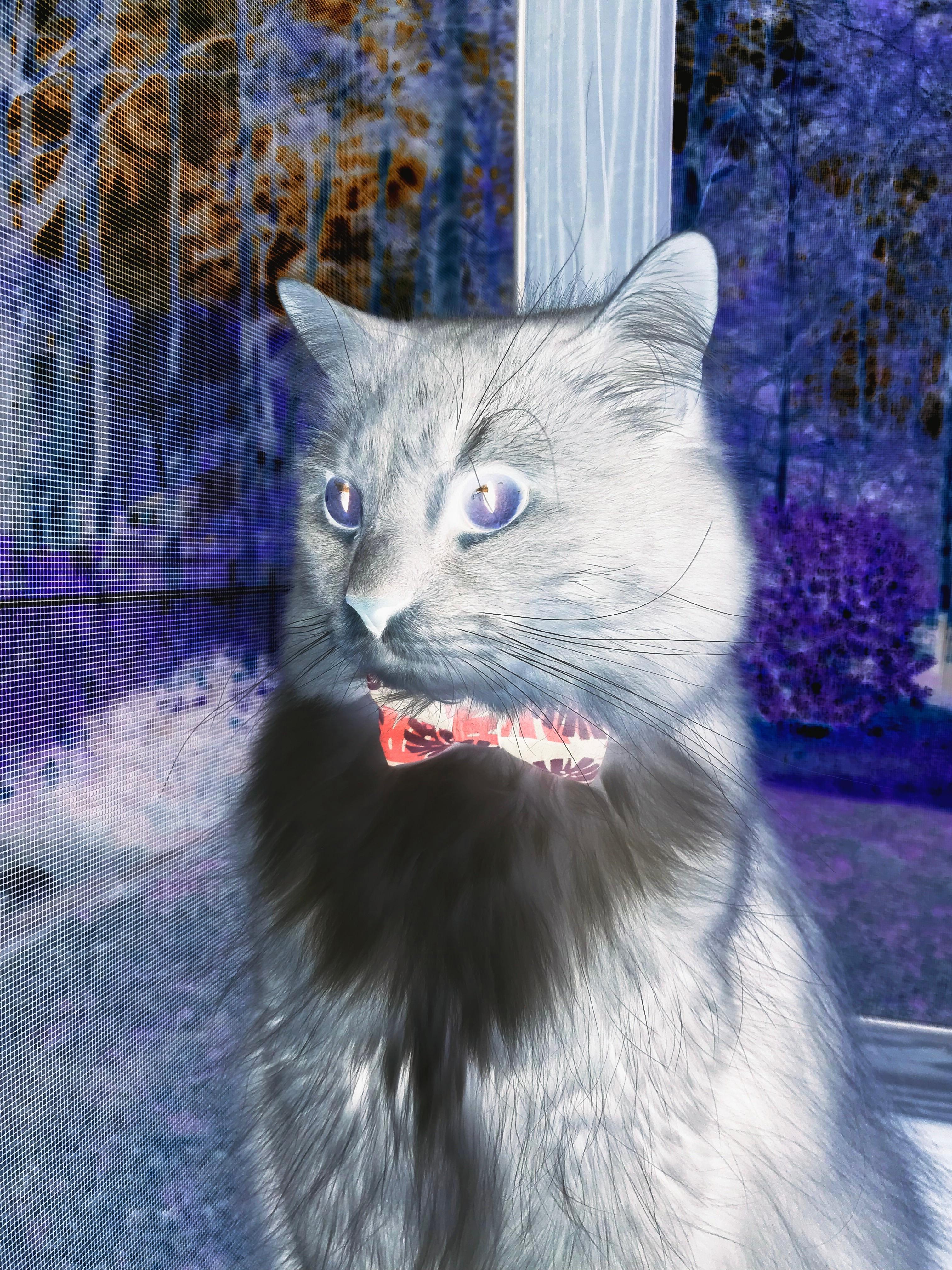 青少年体育社交平台用户行为分析,青少年体育市场