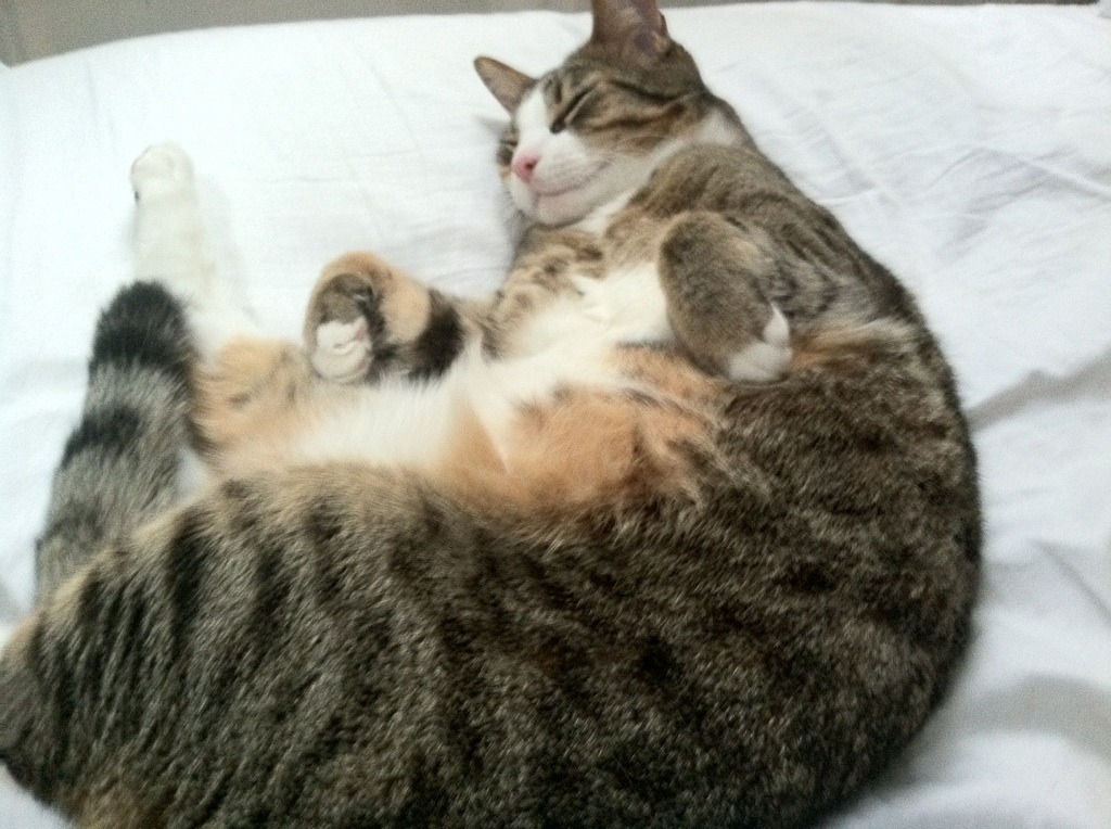 U23国足出战奥预赛 表现亮眼引发热议,u23奥运足球预选赛