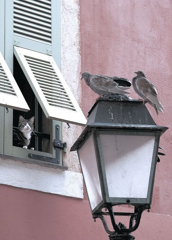 中国三人篮球男队战术调整灵活,中国男子三人篮球战绩