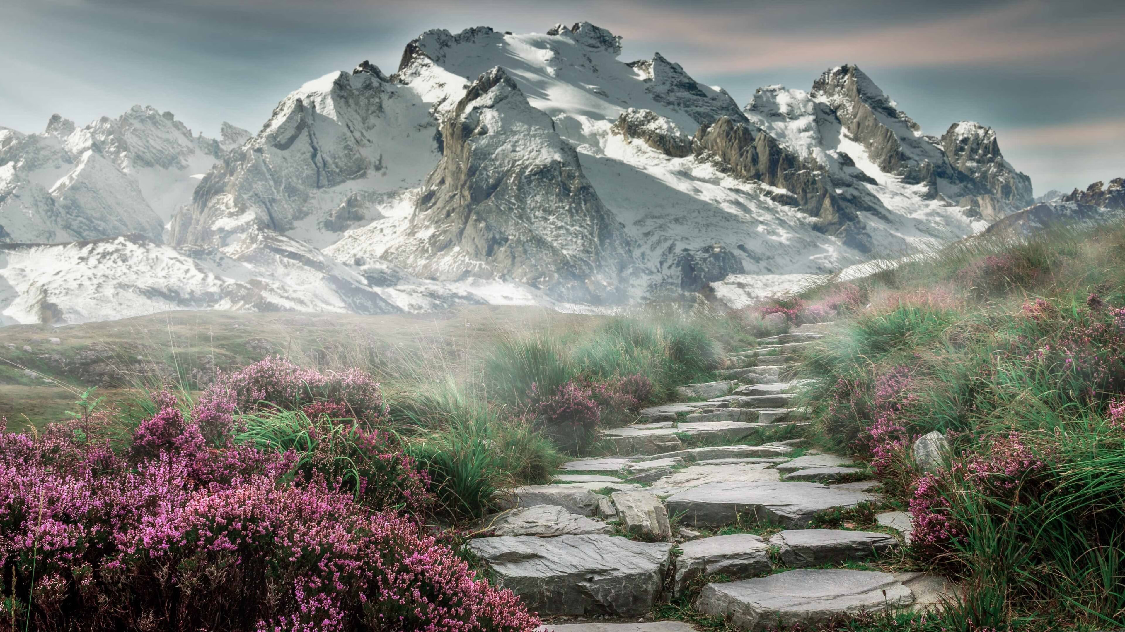 加拿大队在国际乒联混合团体世界杯中的未来潜力与发展空间,加拿大乒乓球混双名单