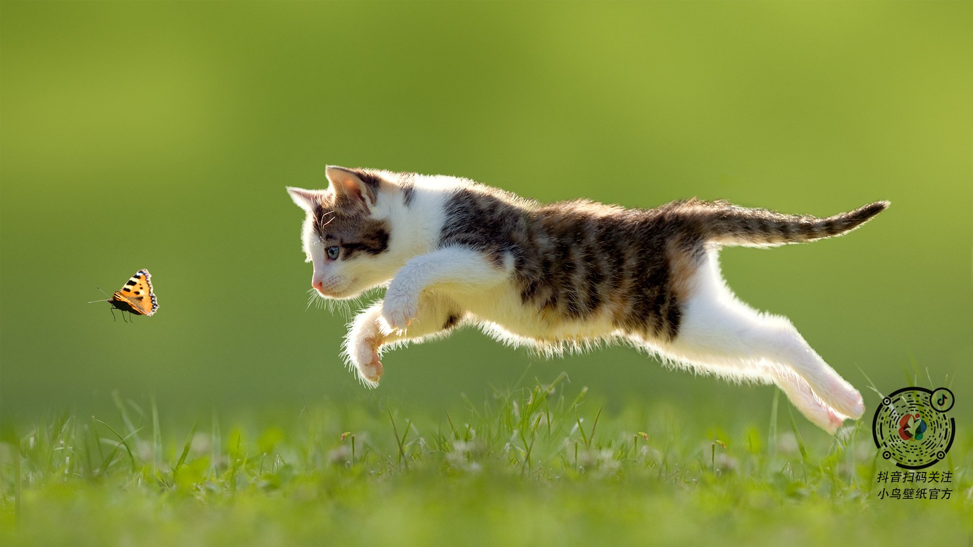 国际乒联公布2024年混合团体世界杯全新赛制,24届乒乓球世界杯