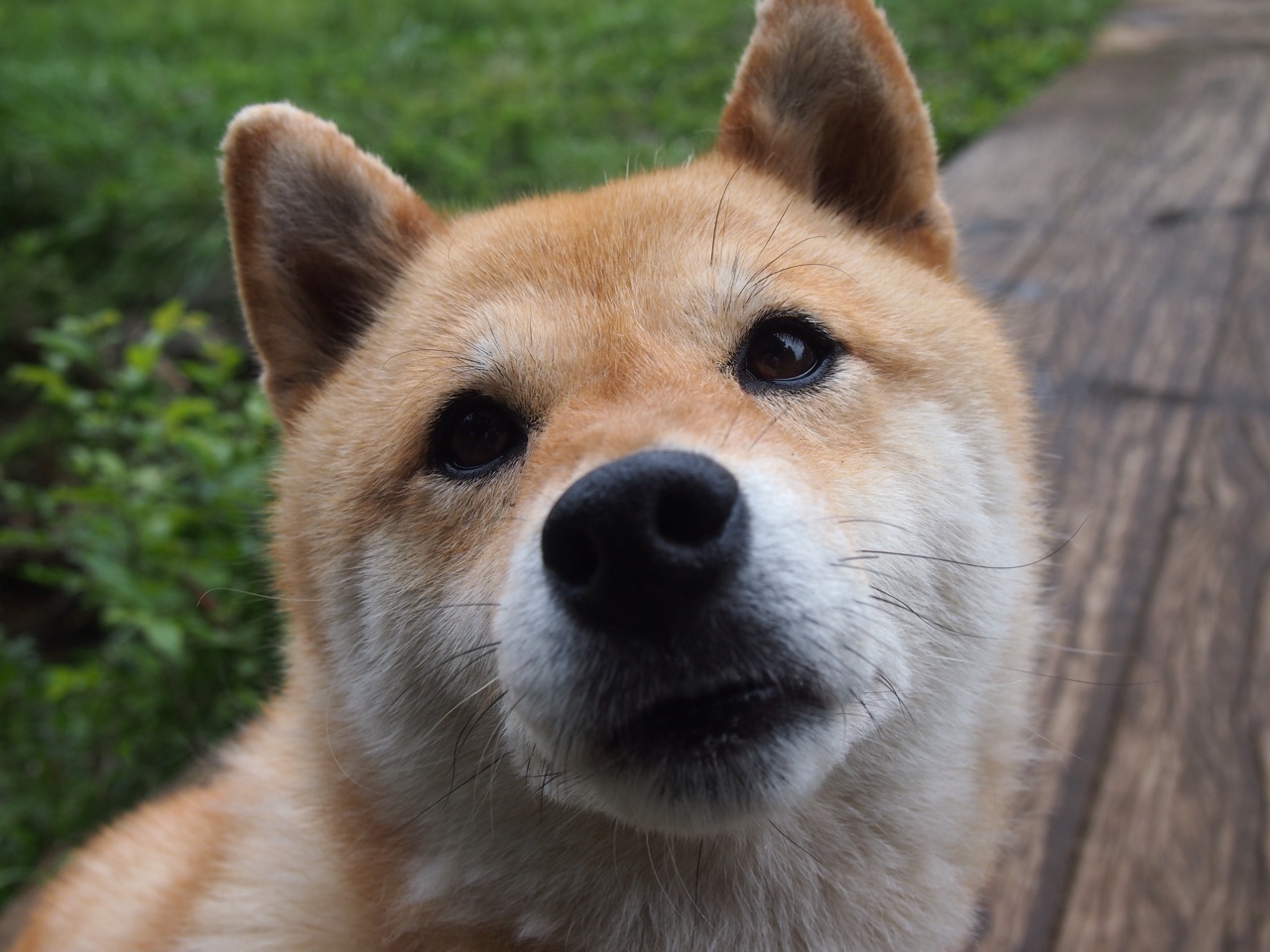 开云app-深圳领航队年轻后卫迅速成长成为新核心，深圳领航员青年队