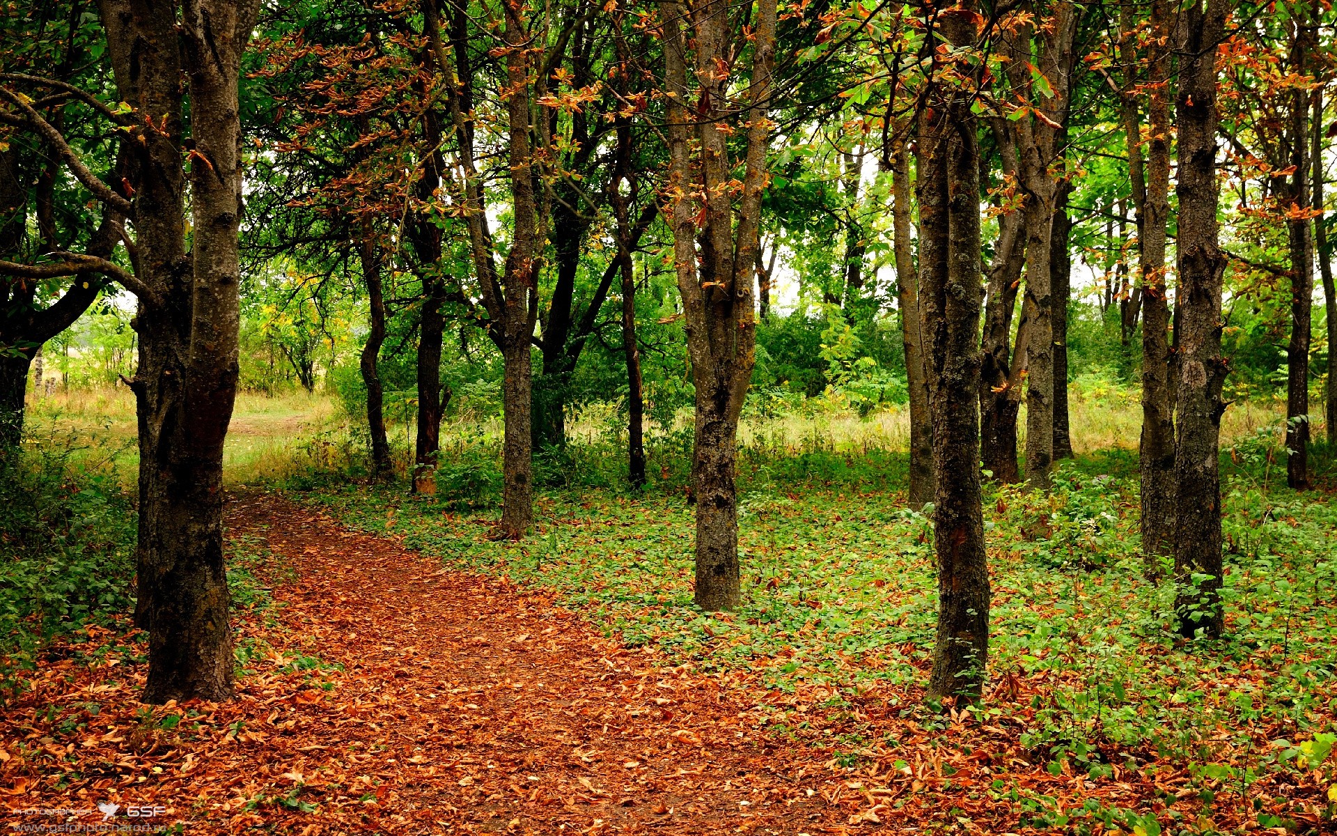 美国队如何在国际乒联混合团体世界杯中保持稳定发挥,美国乒乓球赛事