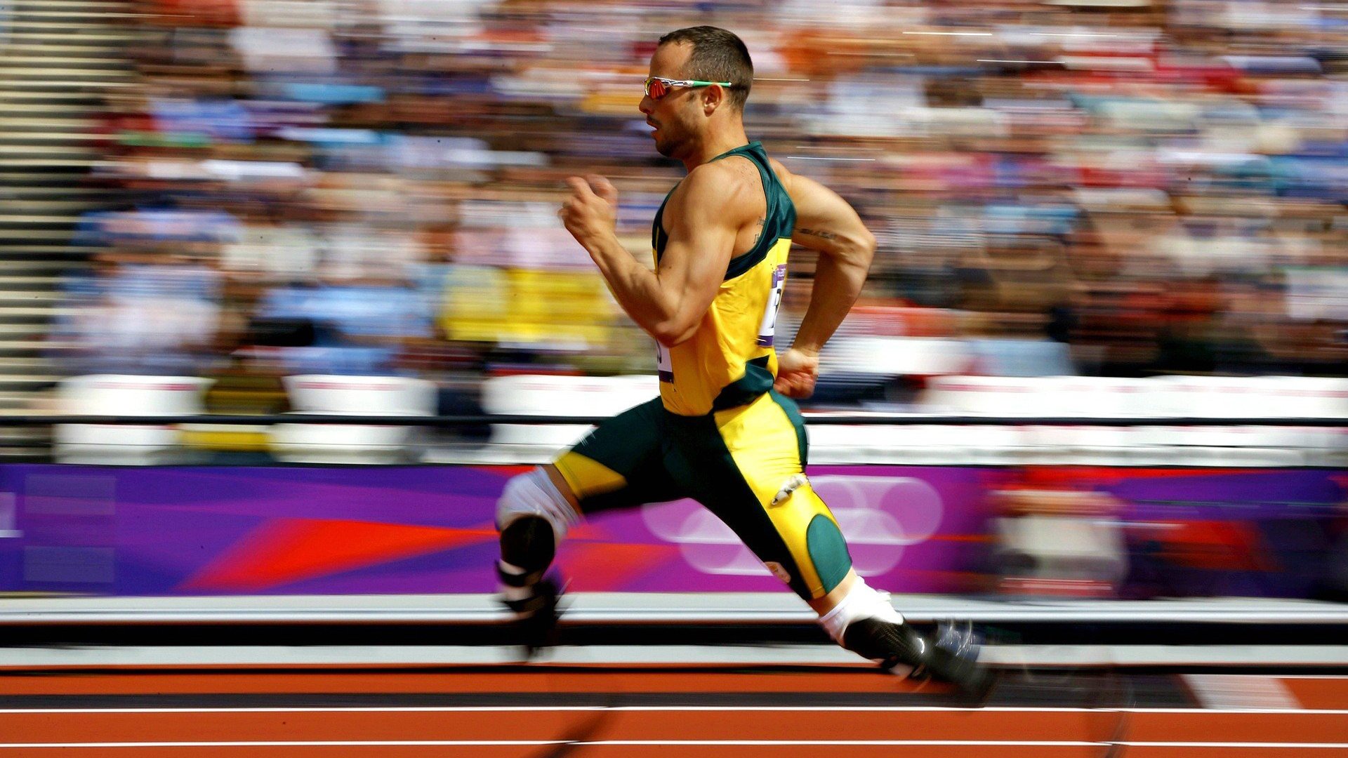 辽宁飞豹强化轮换体系保持高效输出，辽宁飞豹队服