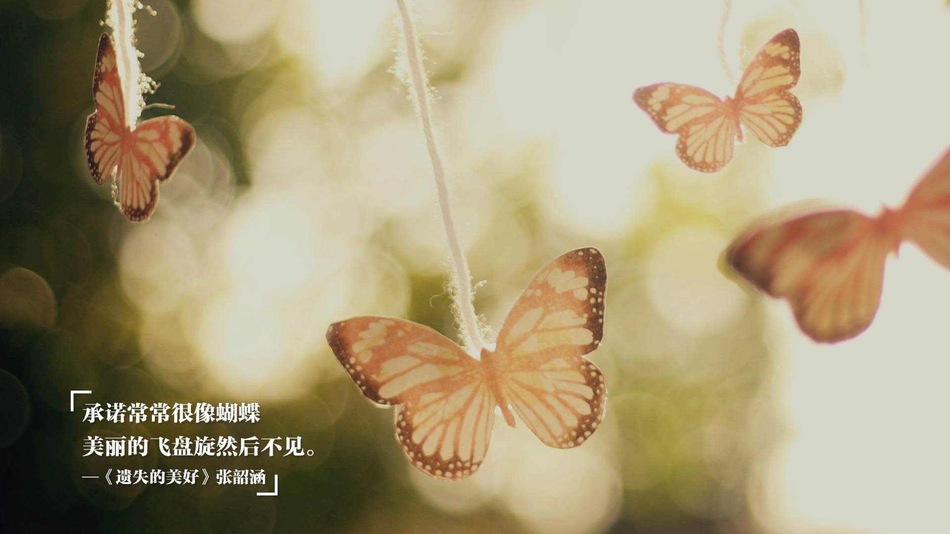 青训体系脱节严重,青训体系脱节严重怎么办