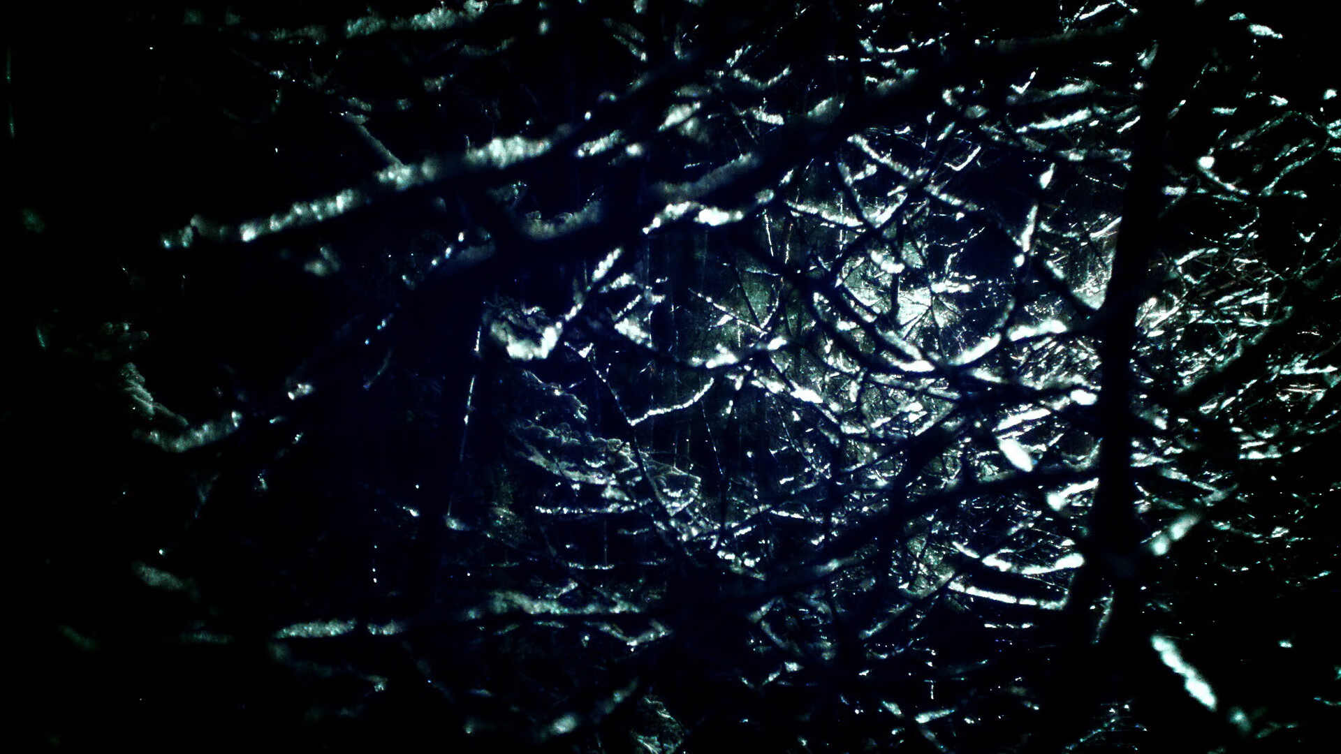 开云体育app在线-俱乐部上线球迷建议通道积极采纳合理意见完善服务体验，各俱乐部球迷的昵称