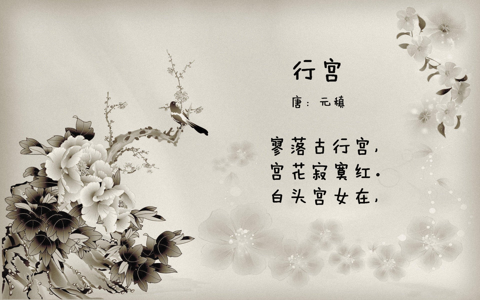 卢旺达男篮在非洲锦标赛中成功夺冠,迈向更高目标