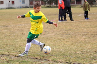 开云官网-中国球迷文化正在发生什么变化，球迷文化什么意思