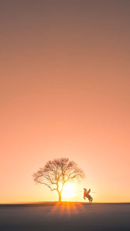 中国篮球的师资力量地域分布情况研究，中国篮球职业球员人数