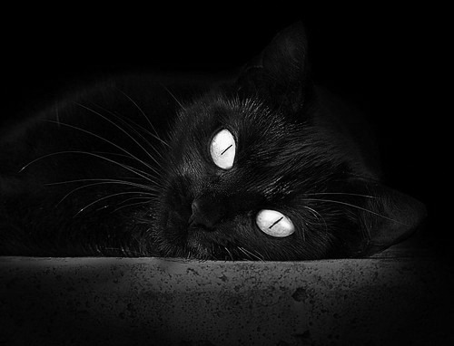 开云体育登录入口-中国足球国家队在世界杯预选赛中的关键战术布置，中国足球世界杯预选赛2021规则