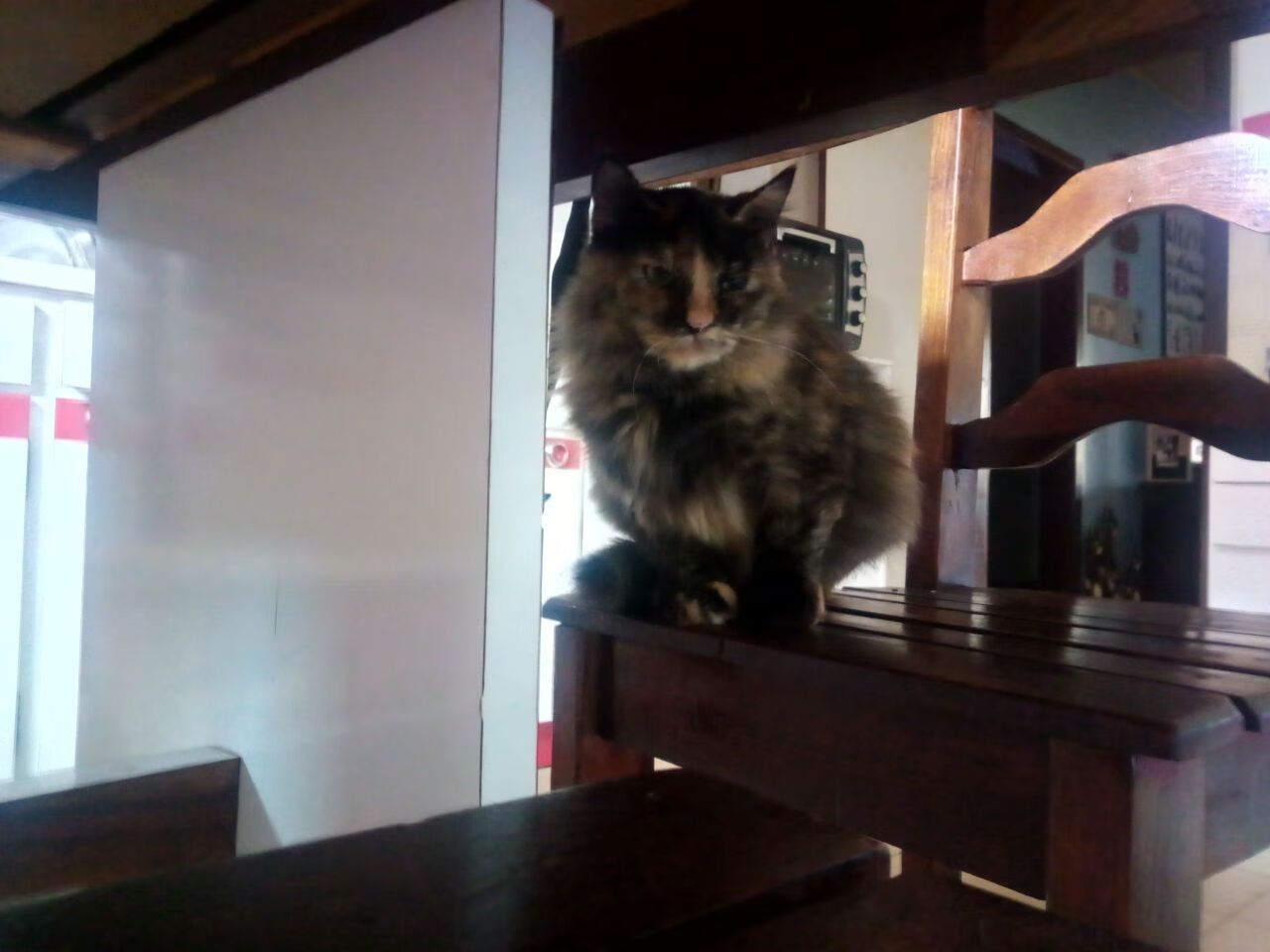 中国足球战略投资人的参与背景与对俱乐部战略影响，中国足球职业俱乐部的发展